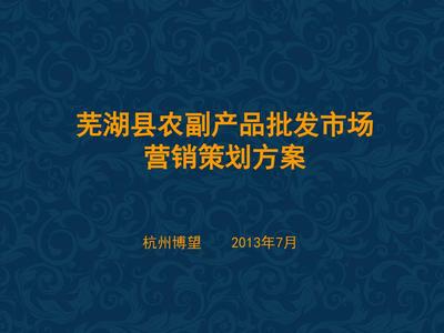 07蕪湖農副產品批發市場整合營銷策劃案